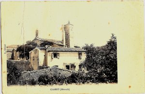 ClareT_claret-10.jpg